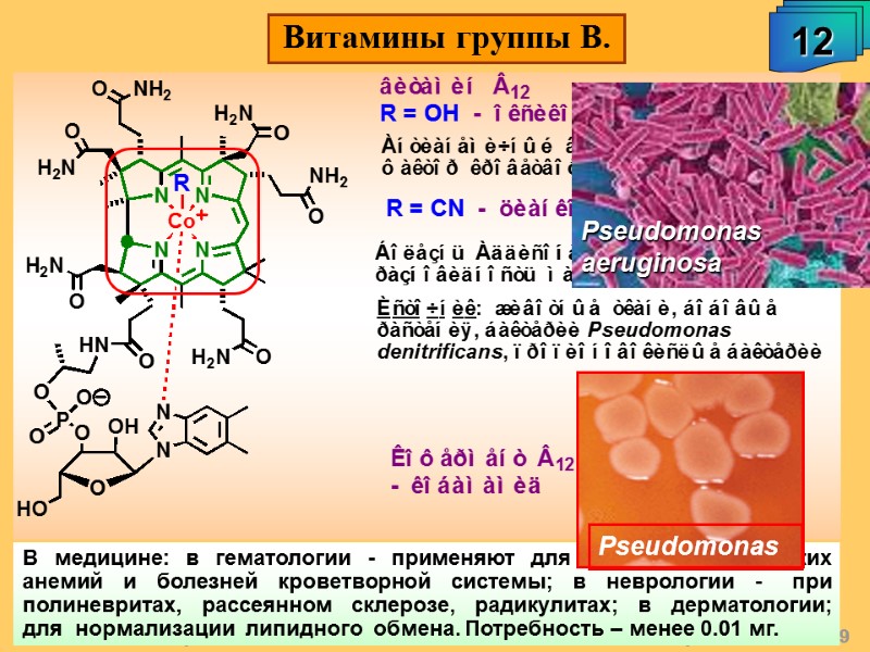 А.М. Чибиряев 
